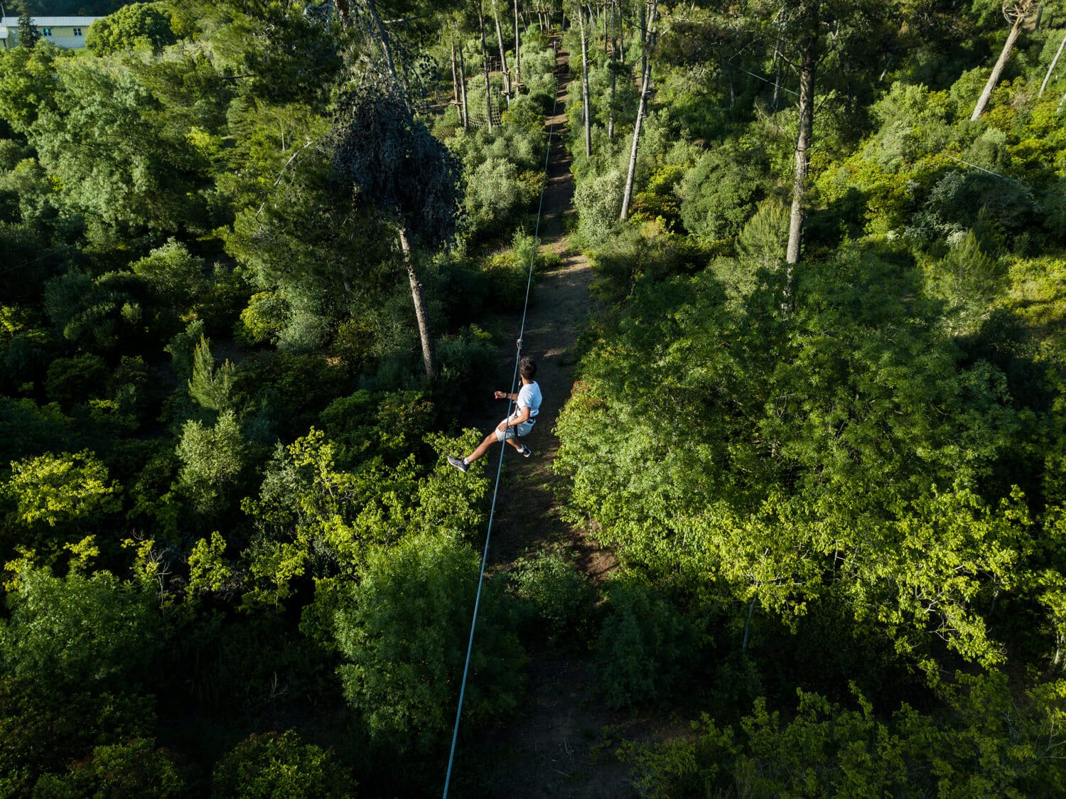 Treetop Adventure Park